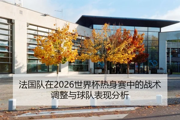 法国队在2026世界杯热身赛中的战术调整与球队表现分析