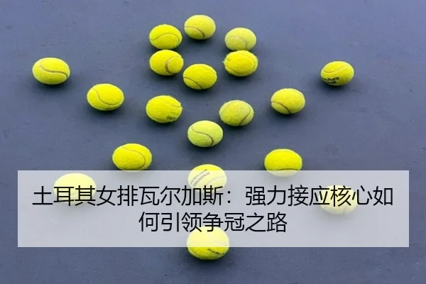 tu-er-qi-nv-pai-wa-er-jia-si-qiang-li-jie-ying-he-xin-ru-he-yin-ling-zheng-guan-zhi-lu-2-871.jpg