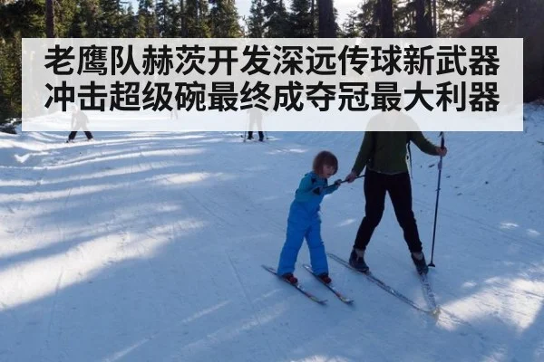 老鹰队赫茨开发深远传球新武器冲击超级碗最终成夺冠最大利器